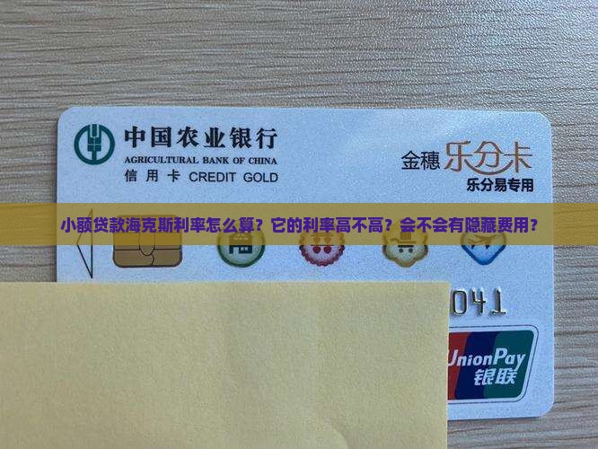 小额贷款海克斯利率怎么算
