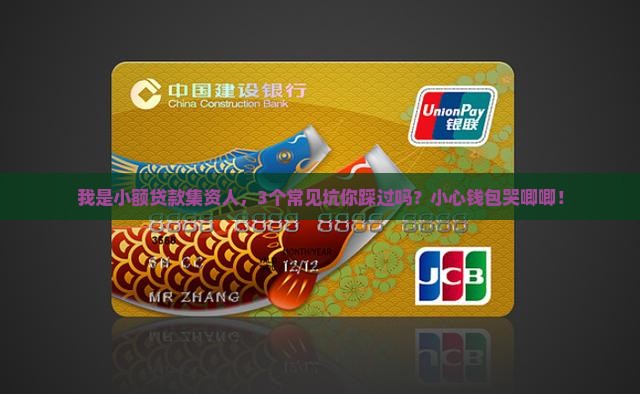 小额贷款集资人