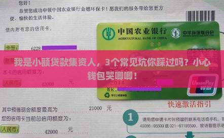 小额贷款集资人