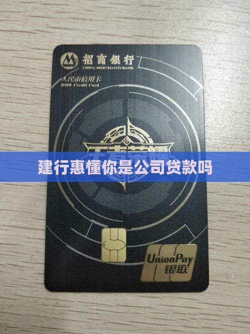 建行惠懂你是公司贷款吗