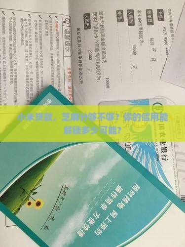 小米贷款和芝麻分
