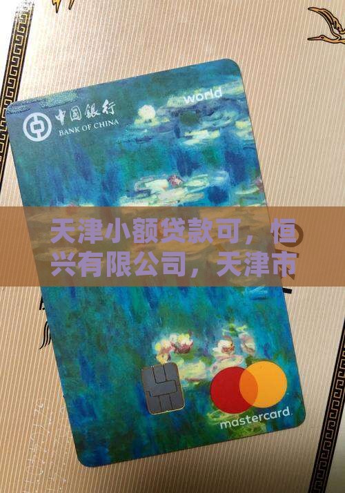 天津小额贷款可