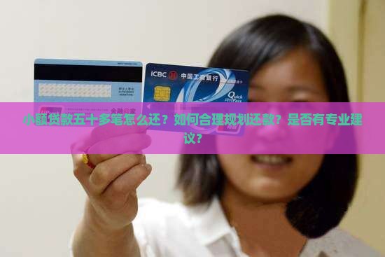 小额贷款五十多笔怎么还