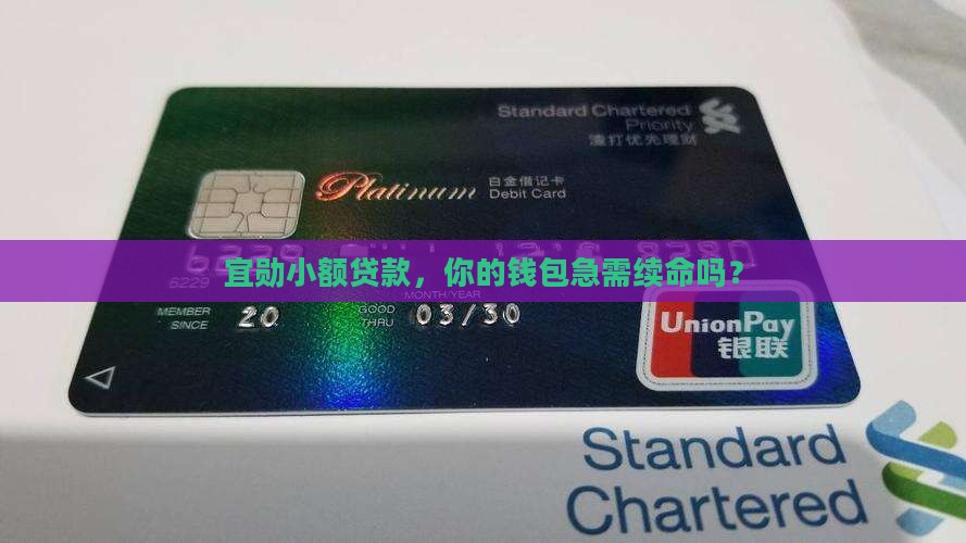 宜勋小额贷款