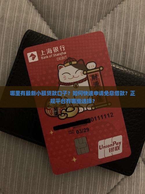 哪里有新口子贷款