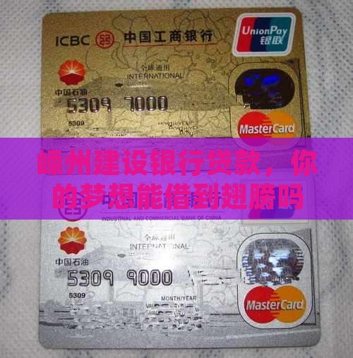 建设银行嵊州支行贷款