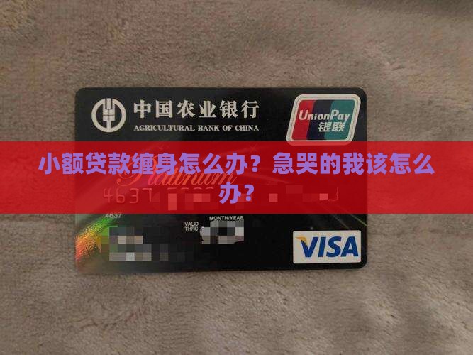 如何解除小额贷款