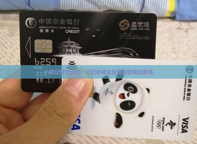 小贷公司申请企业贷款