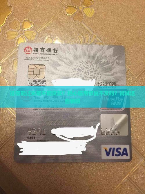 征信能过关能不能贷款