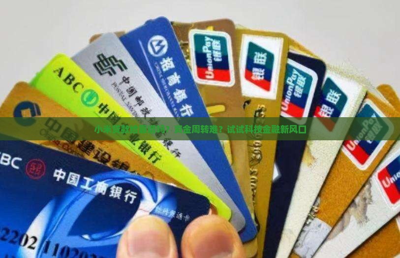 小米贷款给靠谱