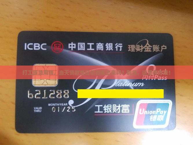 当天贷款征信能查出来吗