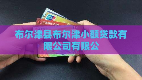 布尔津小额贷款