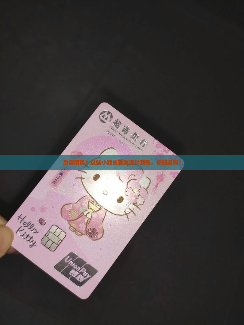 哪些小额贷款口子下款快