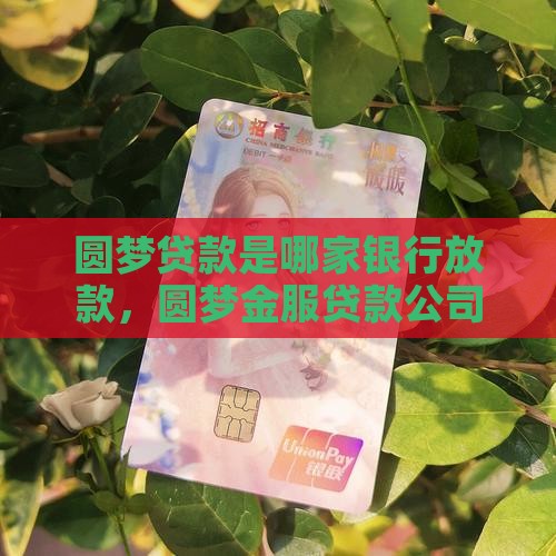 圆梦贷款是哪家银行