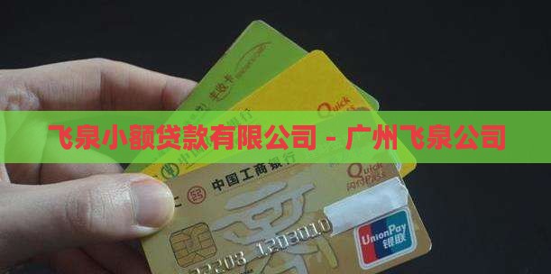广州飞泉小额贷款