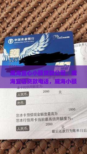 威海宜心小额贷款