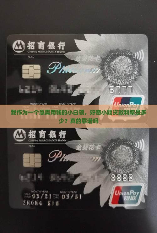 小额贷款利率统计
