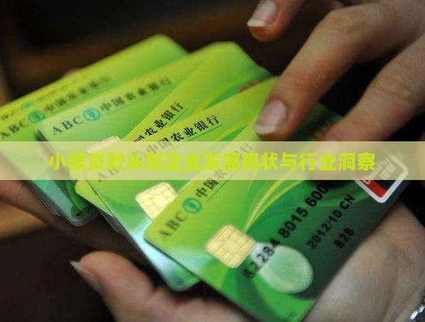 小额贷款头部企业情况