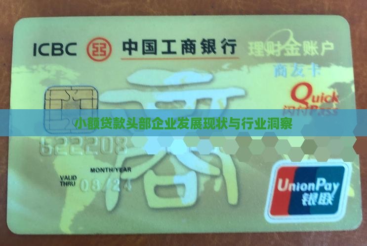 小额贷款头部企业情况