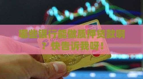 哪些银行可做质押贷款 哪些银行可做质押贷款
