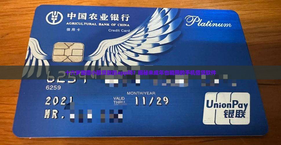 十六岁小额贷款app
