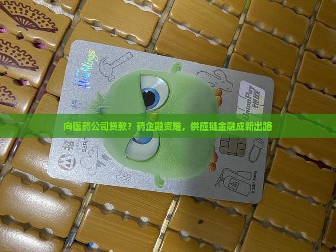 向医药公司贷款