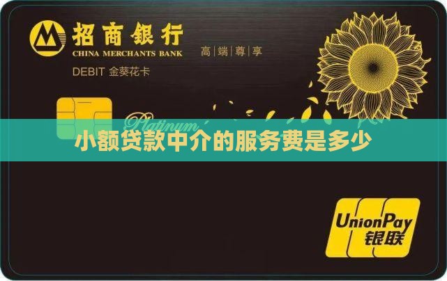 小额贷款服务费多少钱