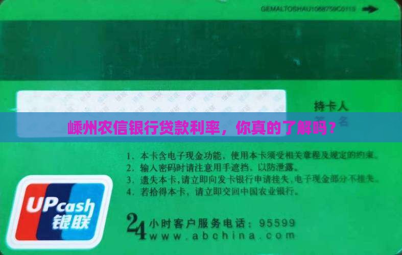 嵊州农信银行贷款利率