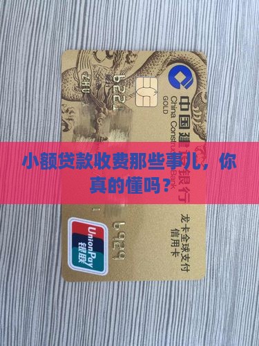 小额贷款收取的费用