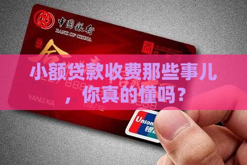 小额贷款收取的费用