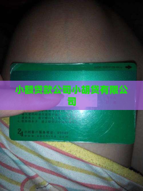 小胡贷贷款机构