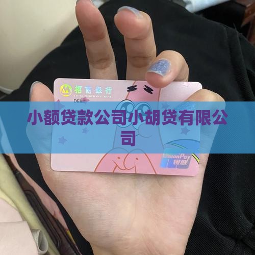 小胡贷贷款机构