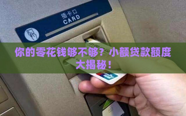 小额贷款的金额