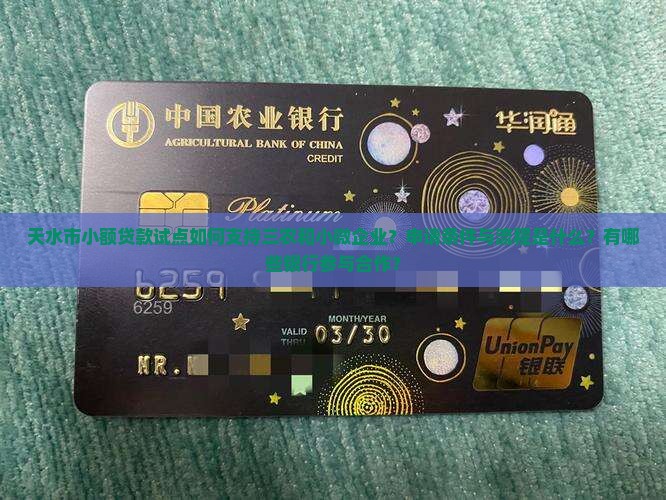 天水小额贷款试点