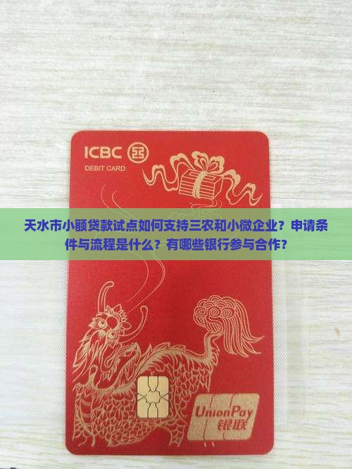天水小额贷款试点