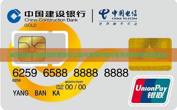 威海海纳小额贷款