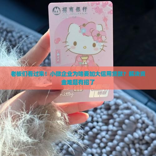 小微企业加大信用贷款