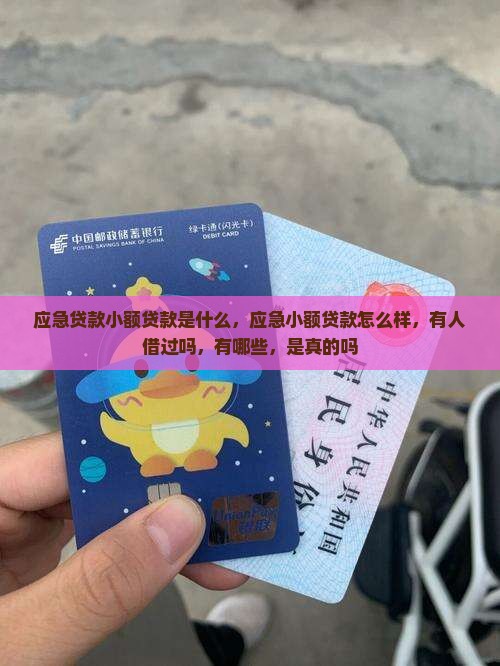 应急贷款小额贷款是什么