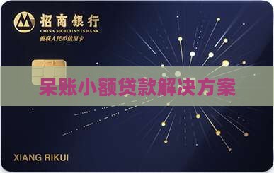 呆账小额贷款