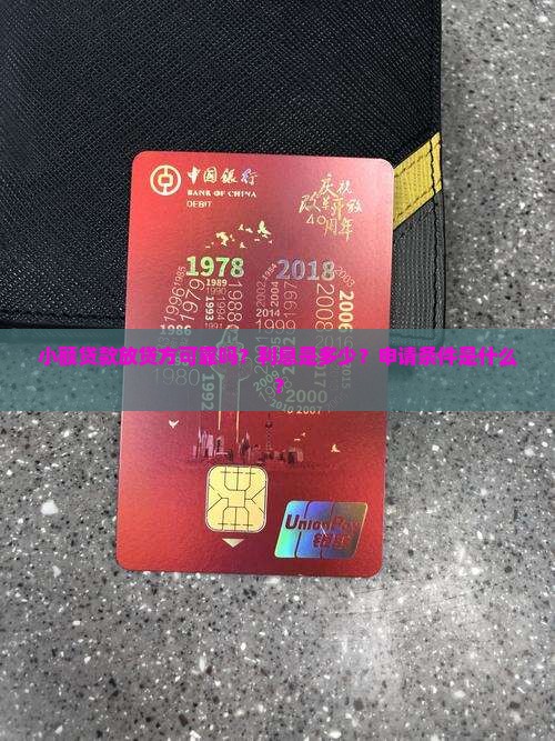 小额贷款放贷方