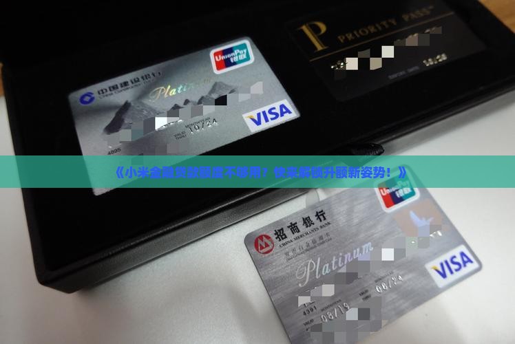 小米金融贷款怎么升额