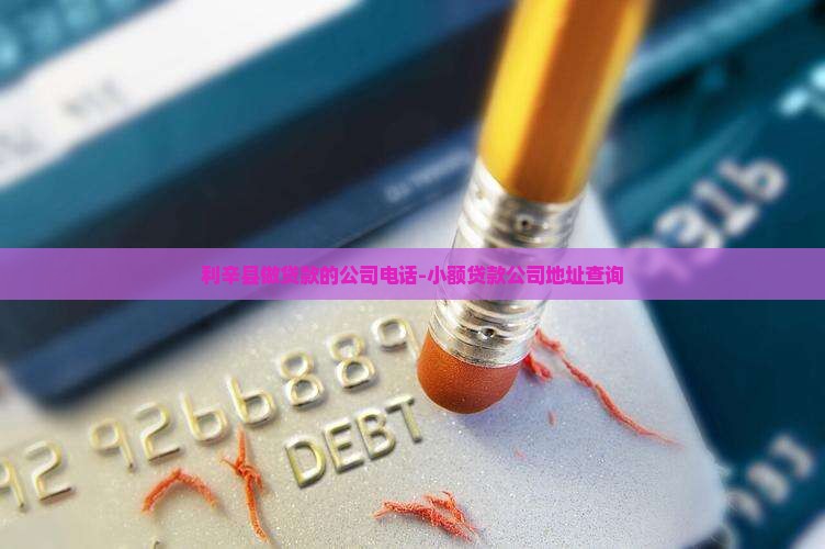 利辛县做贷款的公司电话