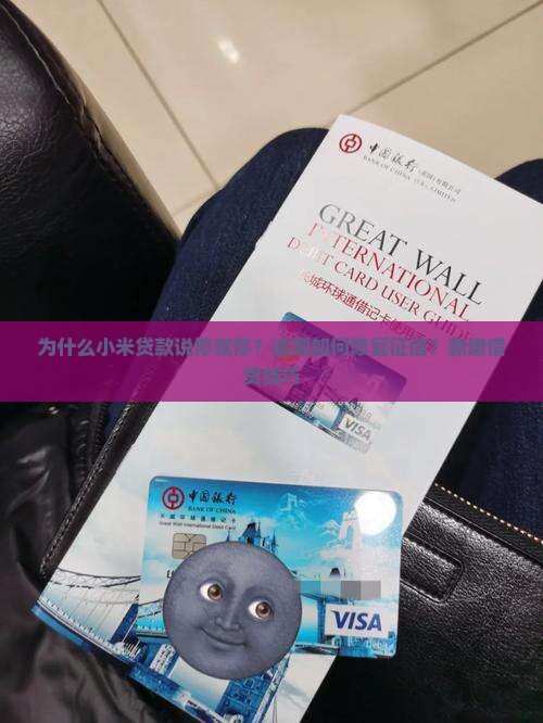 小米贷款说停就停
