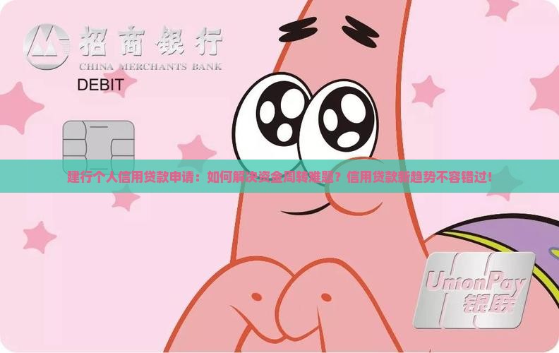 建行个人信用贷款申请
