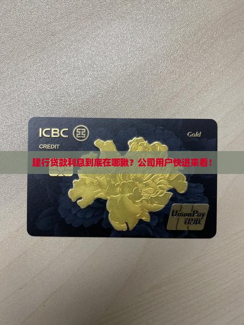 建行贷款利息在哪看公司