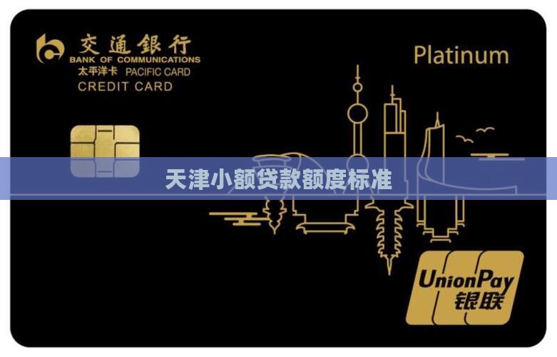 天津市个人小额贷款额度