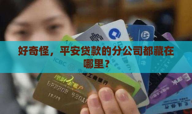 平安贷款哪里有分公司