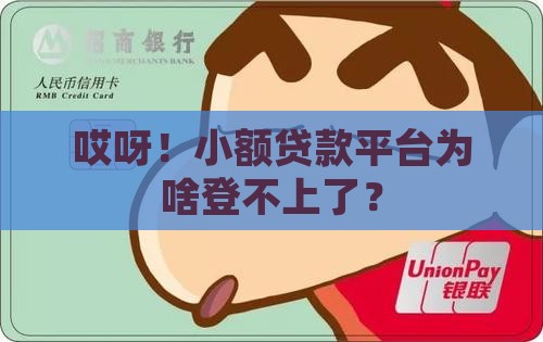 小额贷款平台登录不上