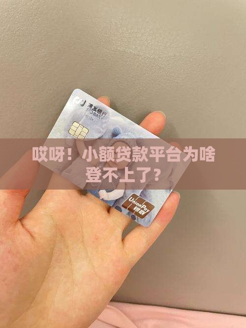 小额贷款平台登录不上