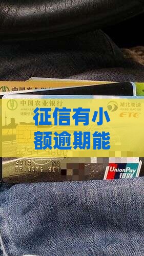 征信有小额逾期能贷款吗